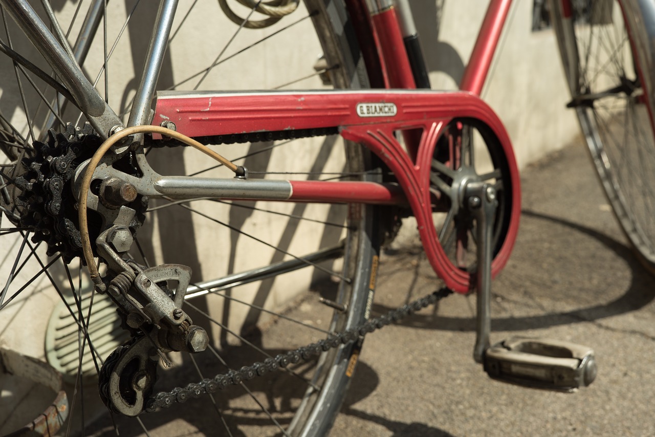 bike bicycle pedal free photo