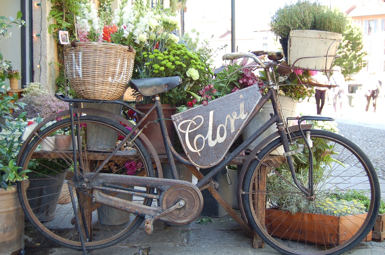 bike bicycle flower free photo