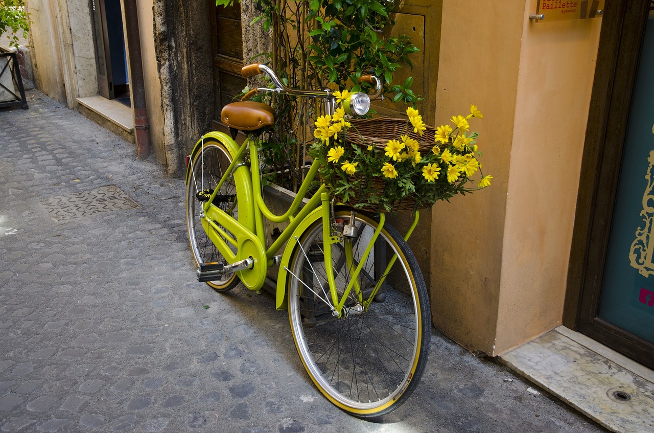 bike bicycle flower free photo