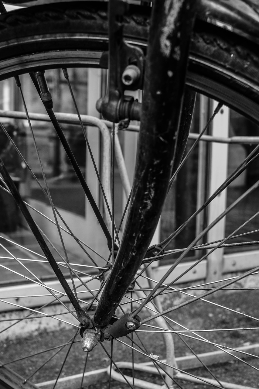 bike wheel bicycle free photo
