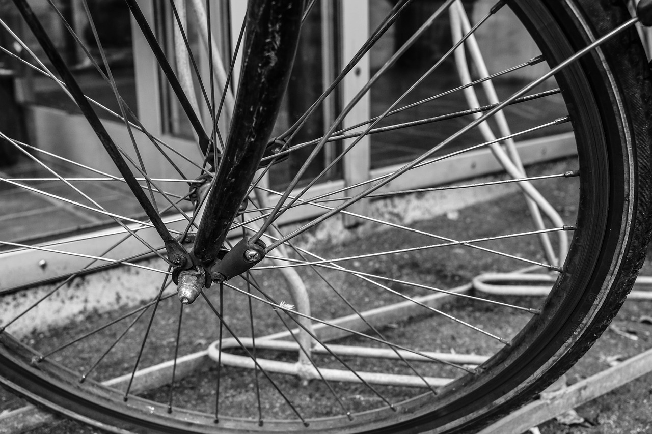 bike wheel bicycle free photo