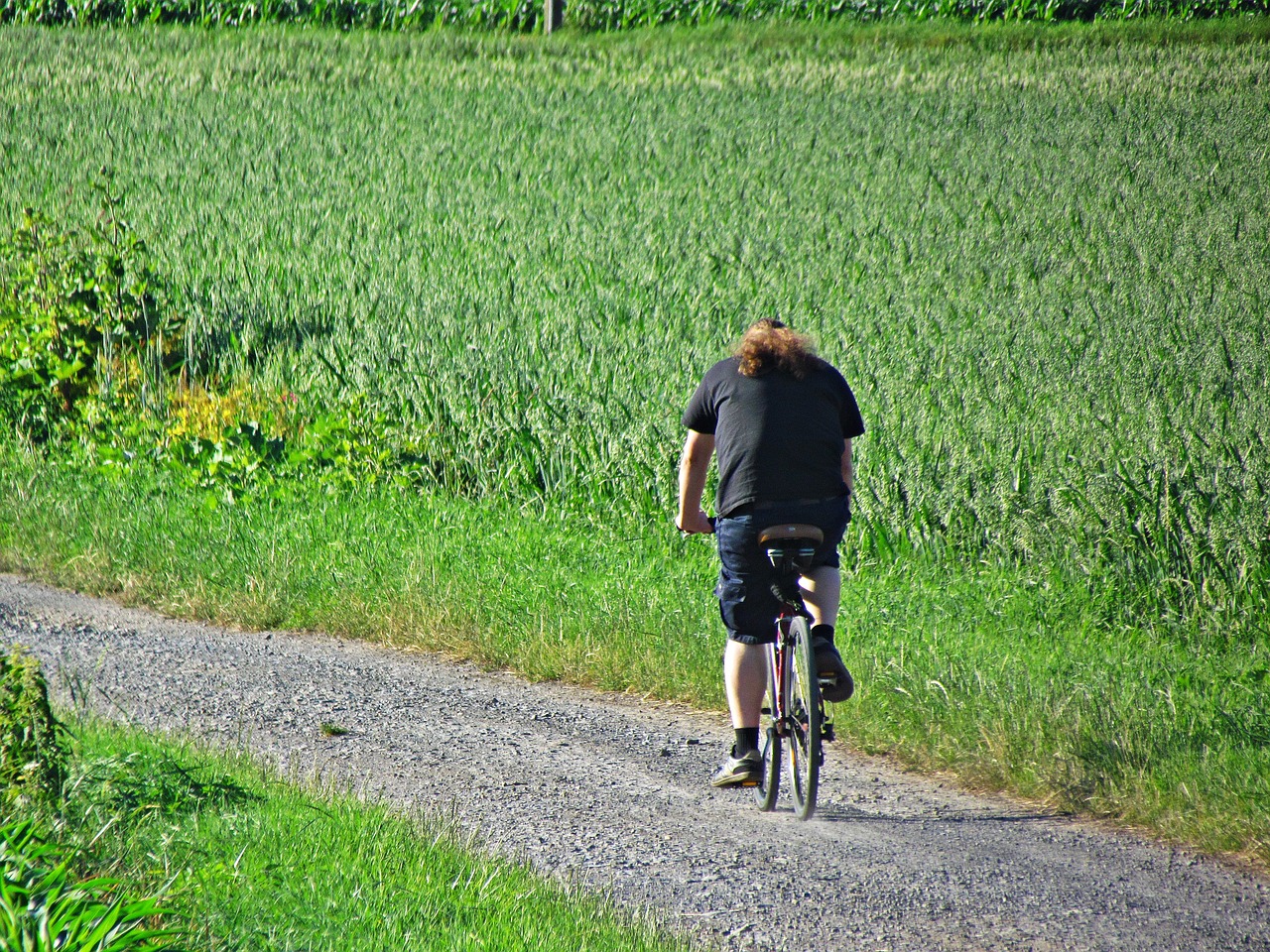 bike male field free photo