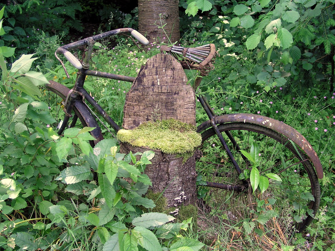 bike garden old free photo