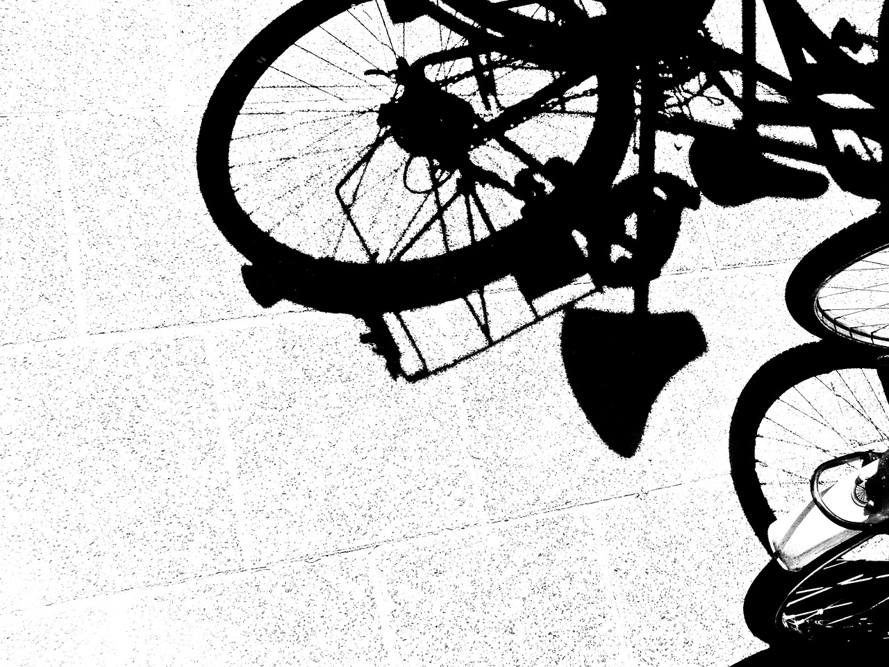 bike bicycle shadow free photo