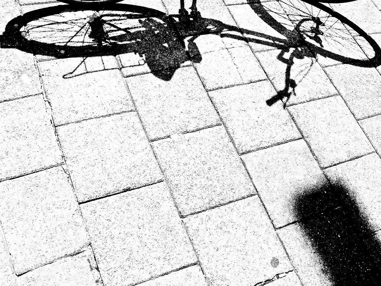 bike bicycle shadow free photo