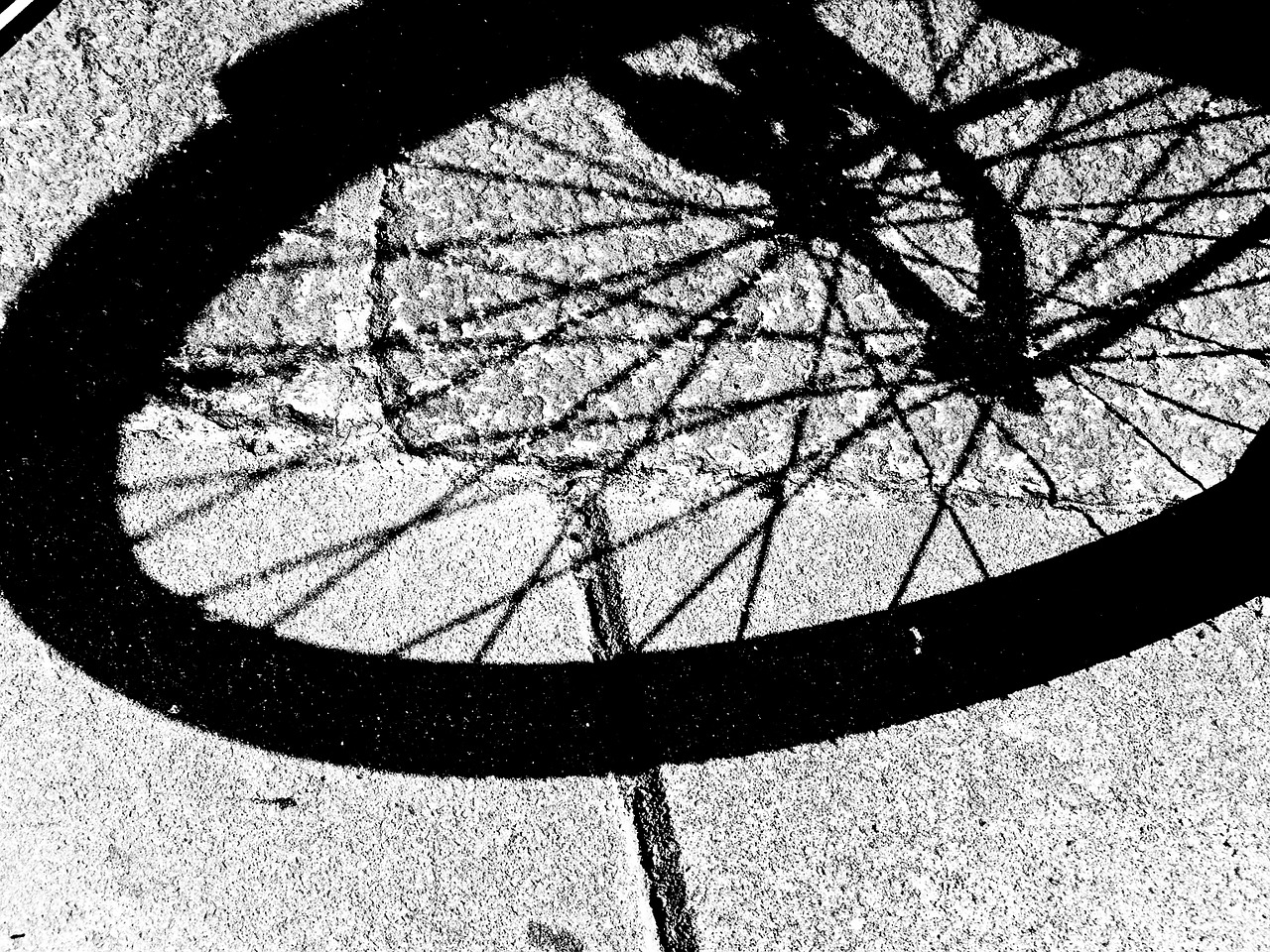 bike bicycle shadow free photo