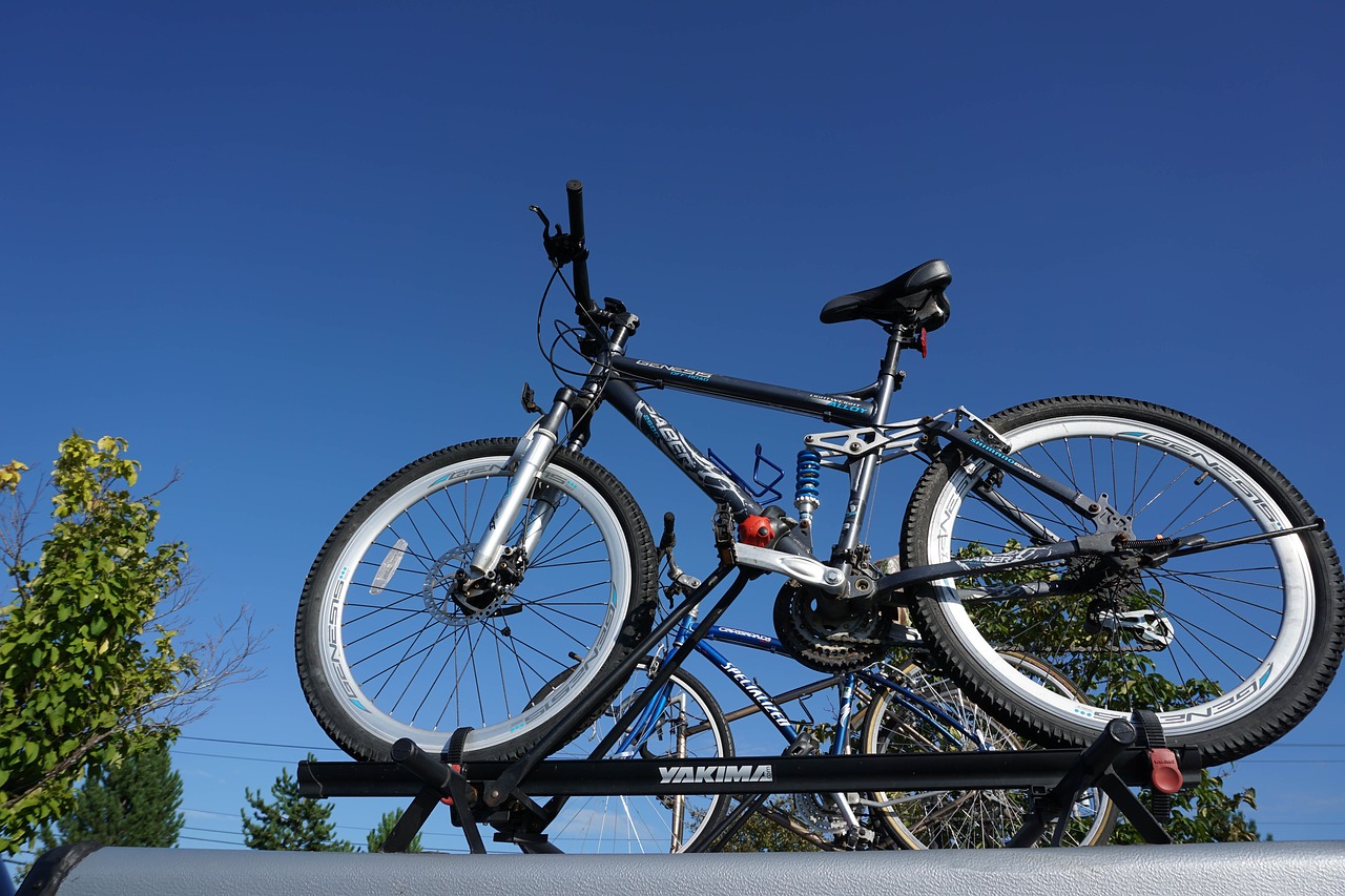 bike green cycle free photo