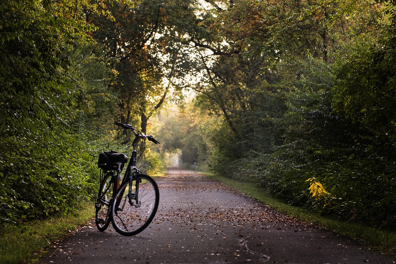 bike trail bicycle free photo