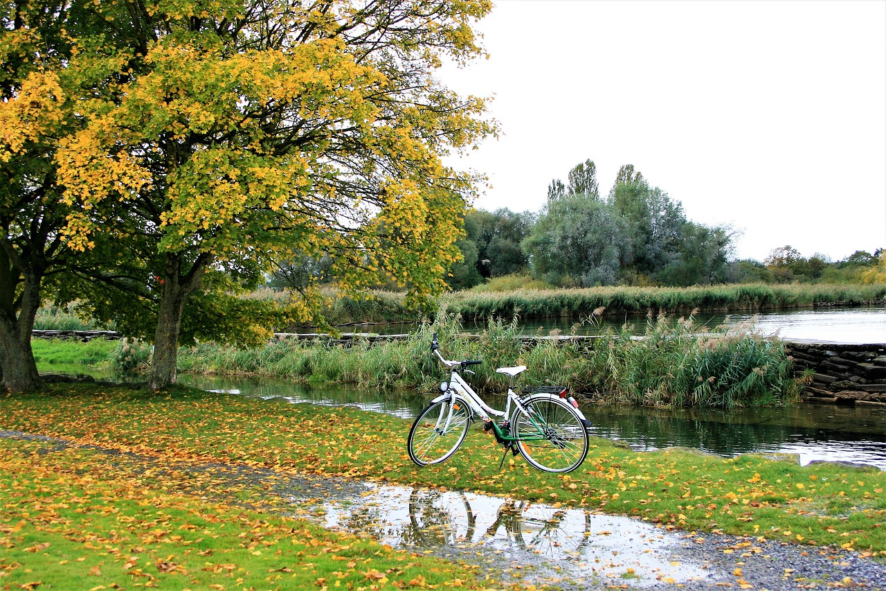 bike autumn gold foliage free photo