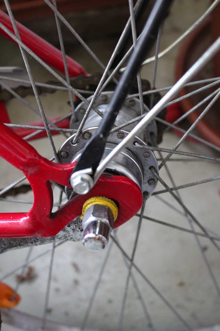 bike rear axle wheel free photo