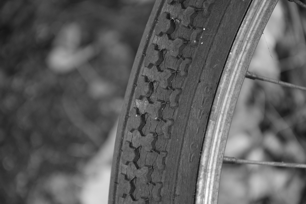bike mature wheel free photo