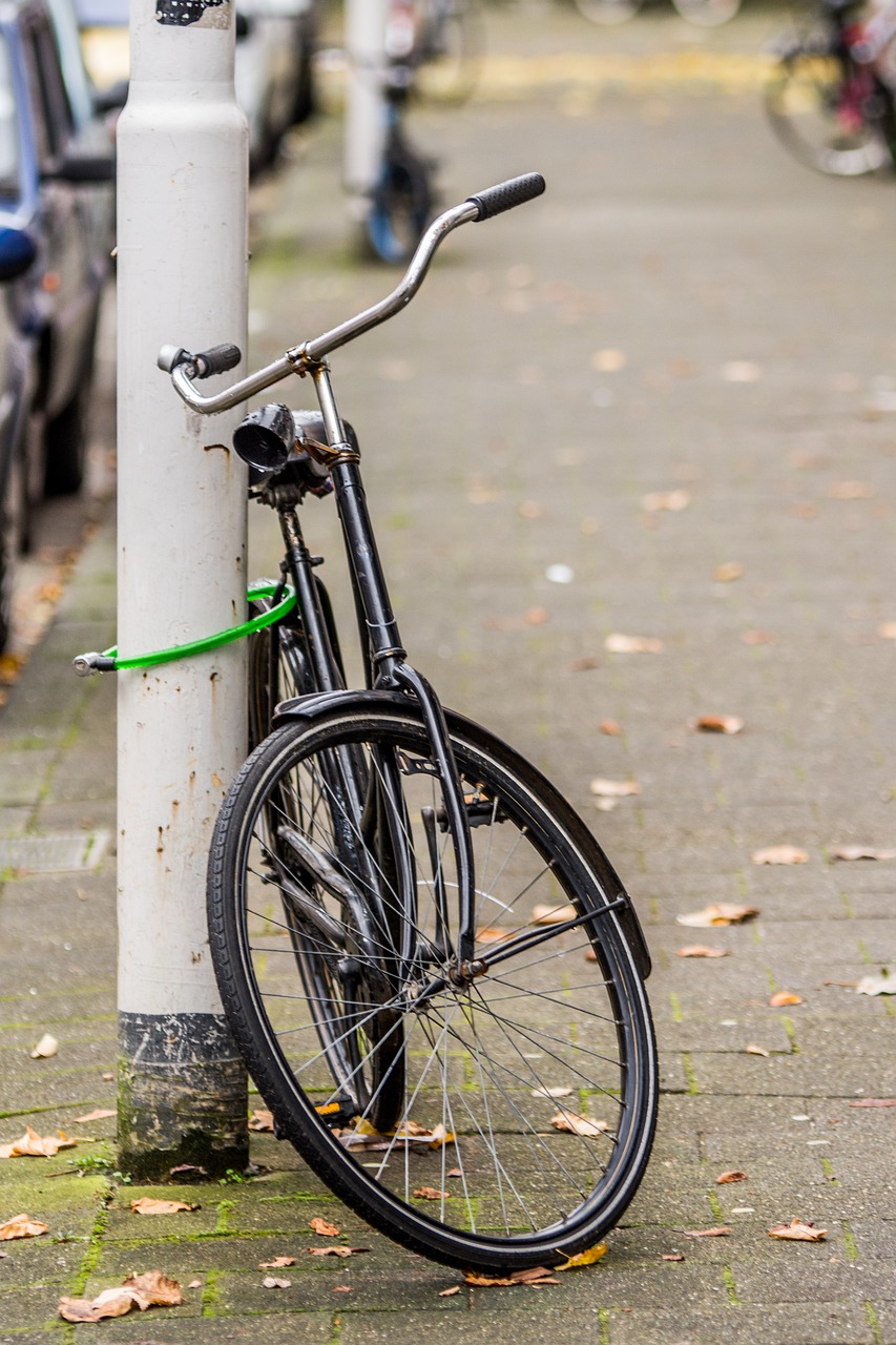 bike holland netherlands free photo