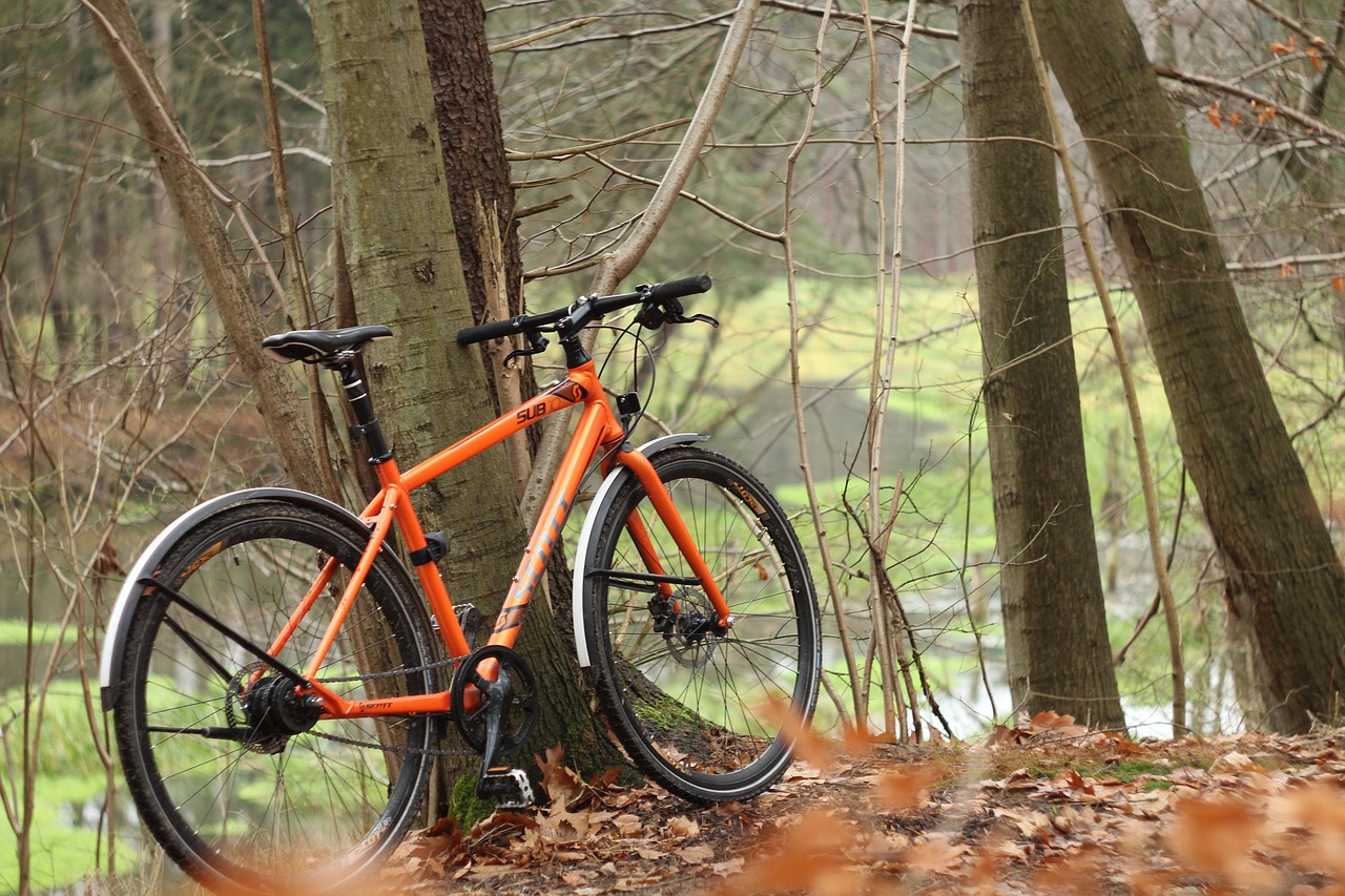 bike autumn river free photo