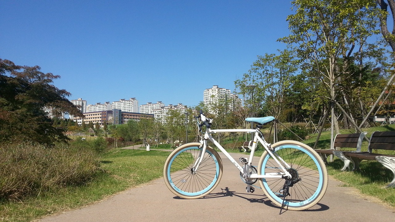 bike park riding free photo