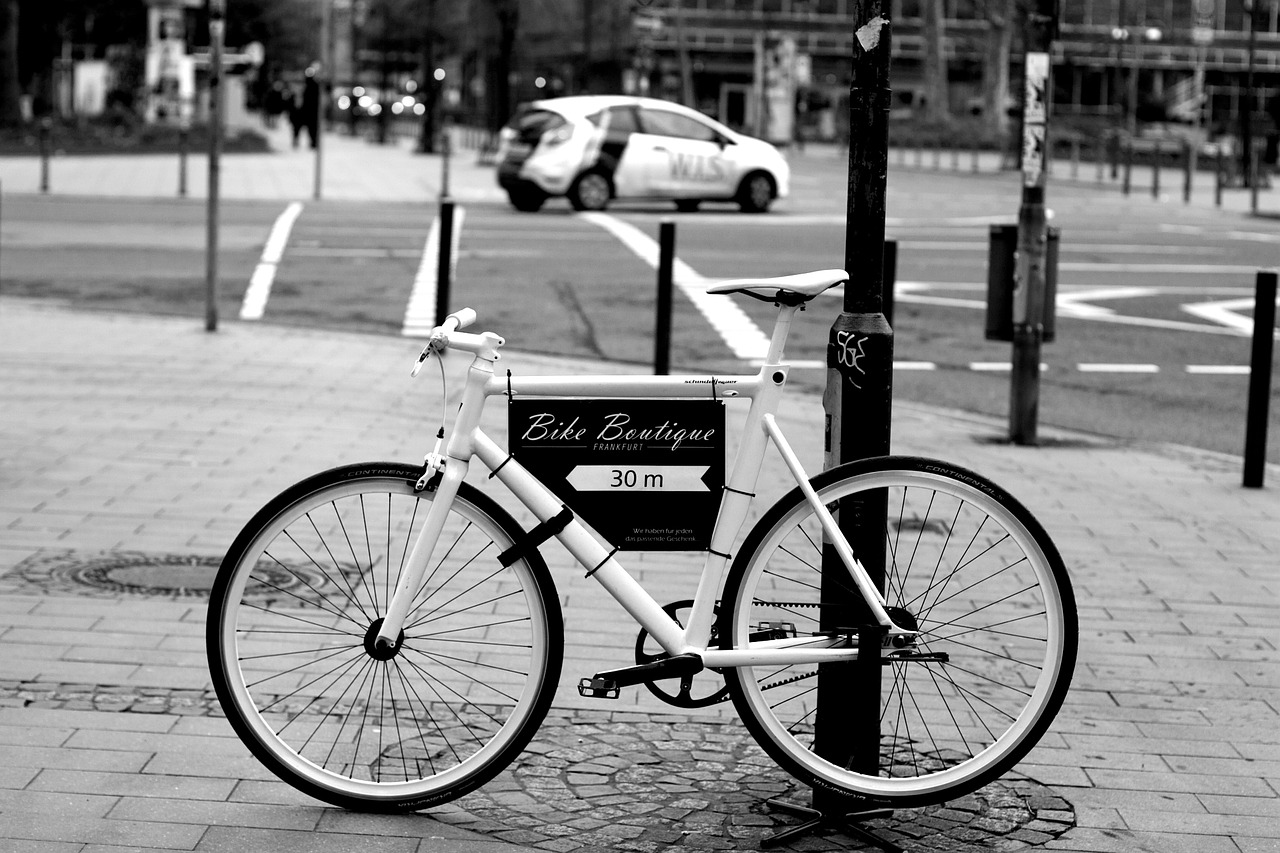 bike road bike racing cyclists free photo