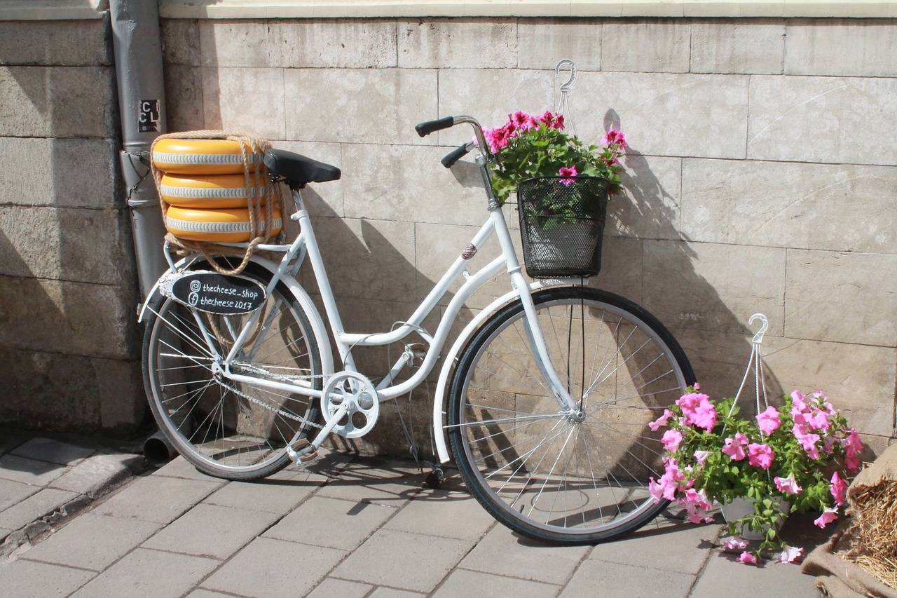 bike  flowers  cheese free photo