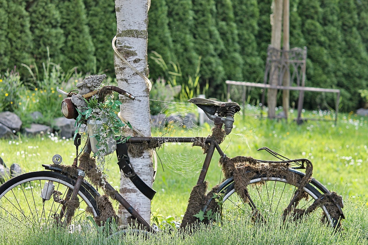 bike  rusty  overgrown free photo