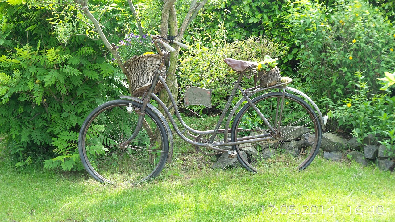 bike nature rest free photo