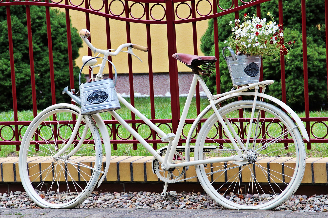 bike  flowers  pot free photo