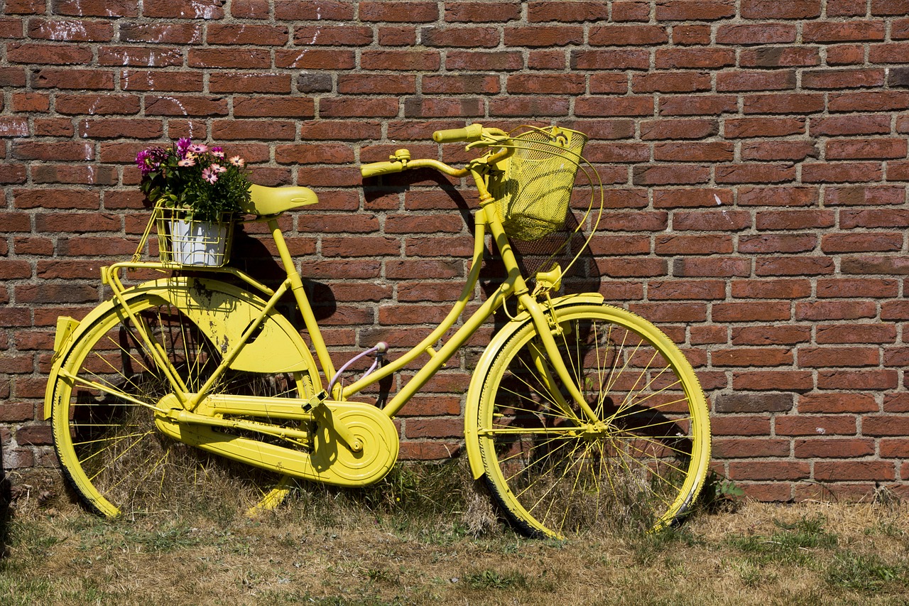 bike  deco  decoration free photo