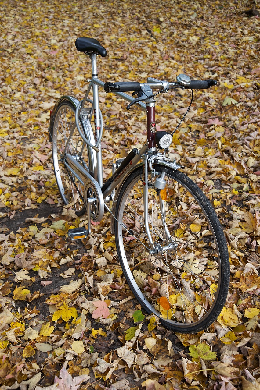 bike  kalkhoff  gents cycles free photo