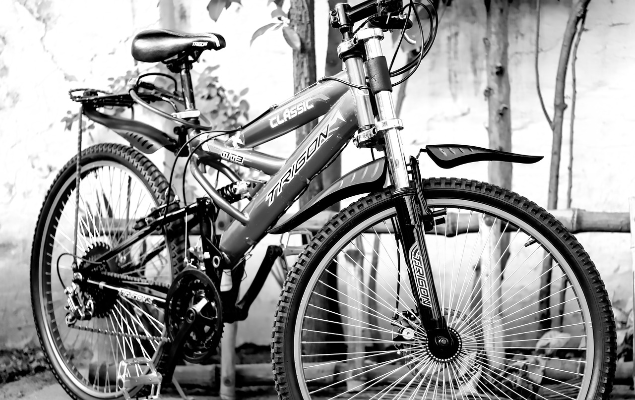 bike  bicycle  two free photo