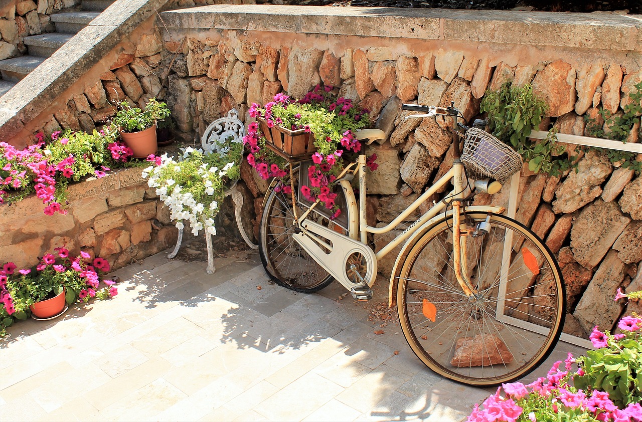 bike  flowers  mediterranean free photo