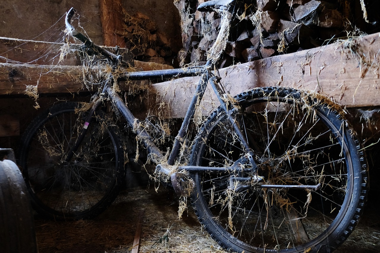 bike  old  decay free photo