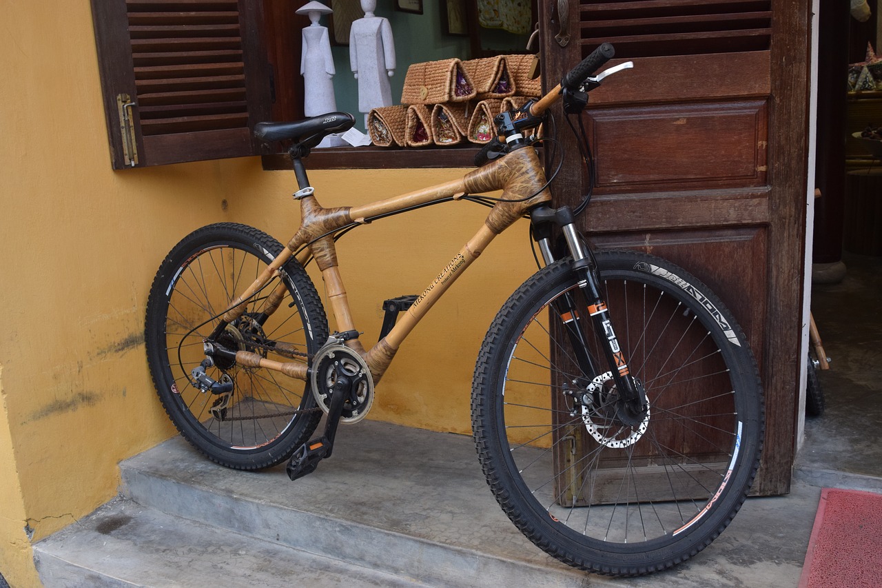 bike  sport  bamboo frame free photo