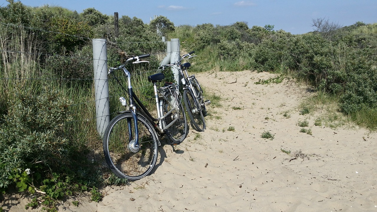 bike wheel sand free photo