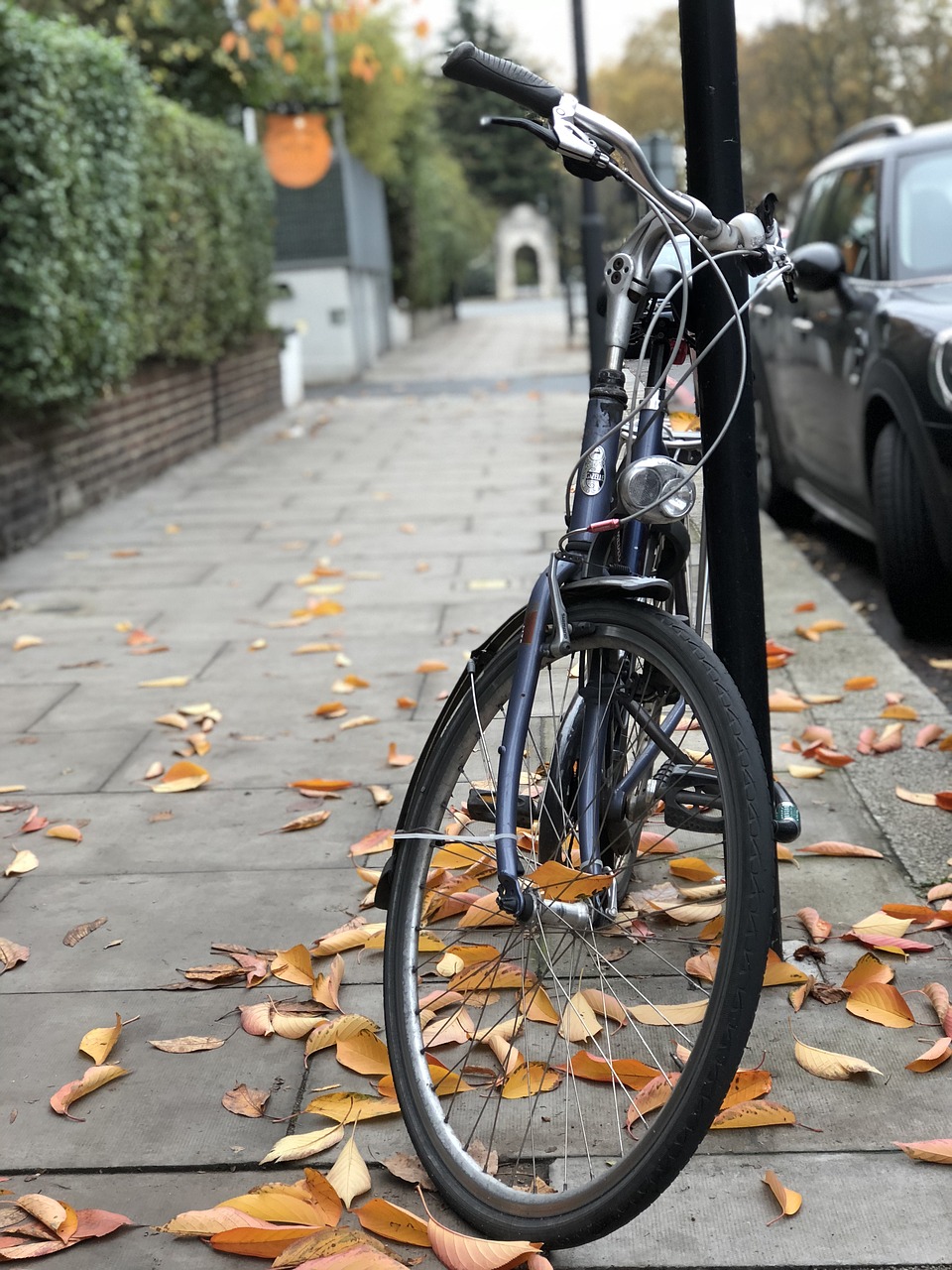 bike  autumn  leaves free photo