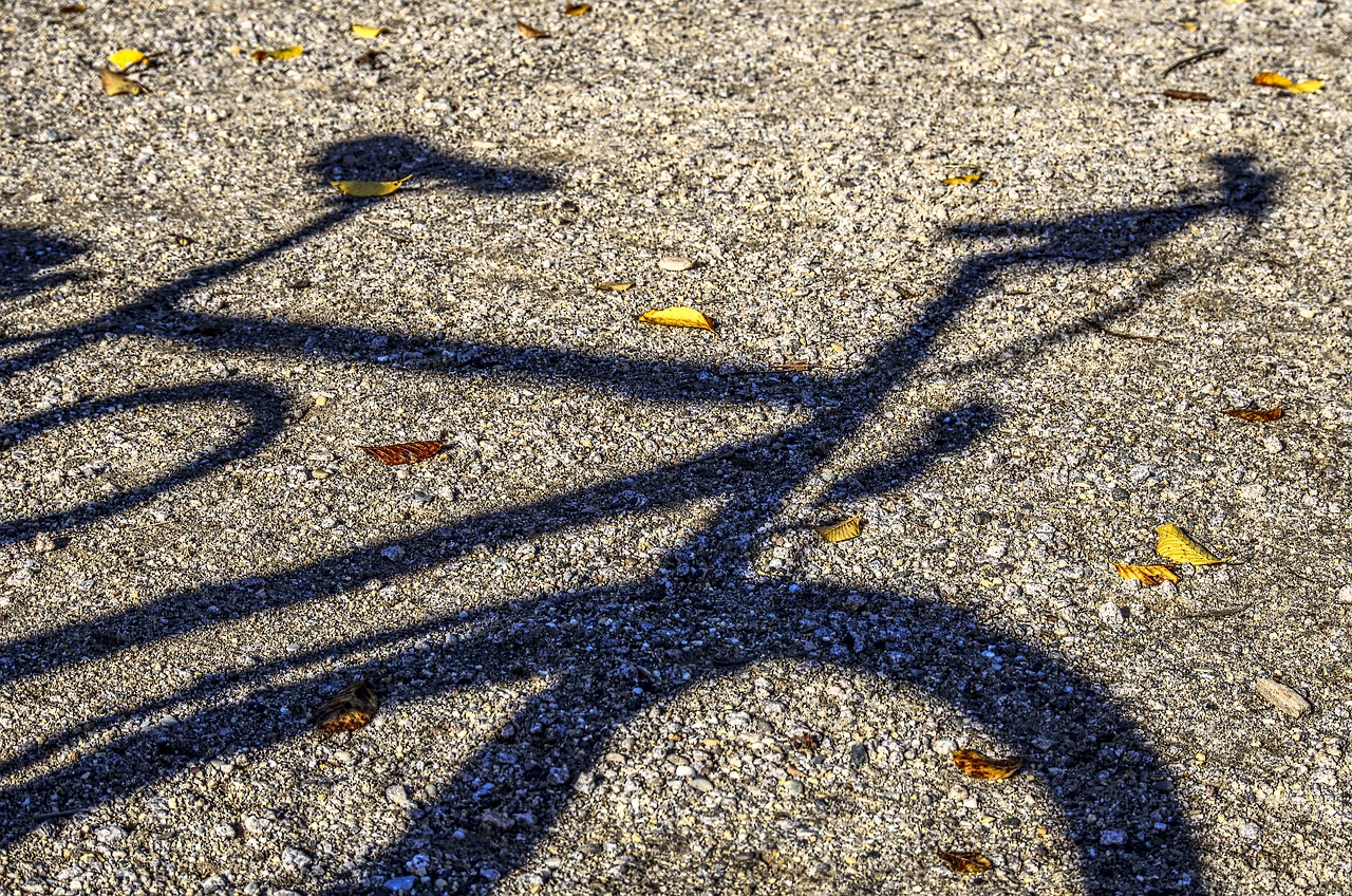 bike  shadow  gravel free photo