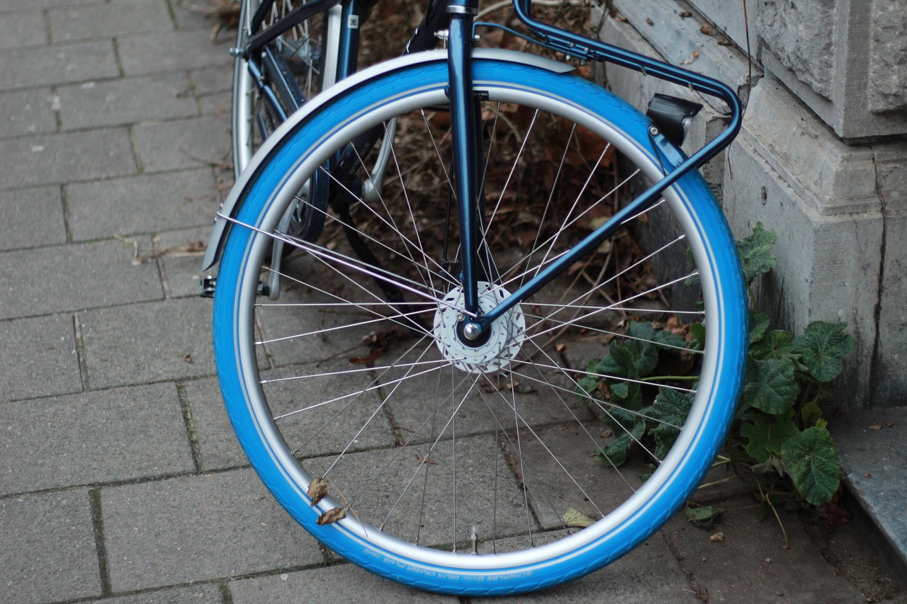 bike  tire  blue free photo