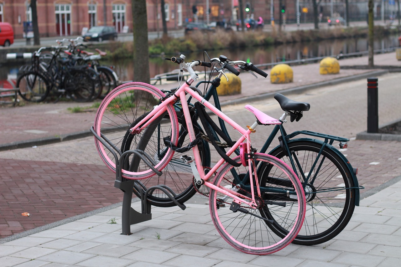 bike  cycling  bike pink free photo