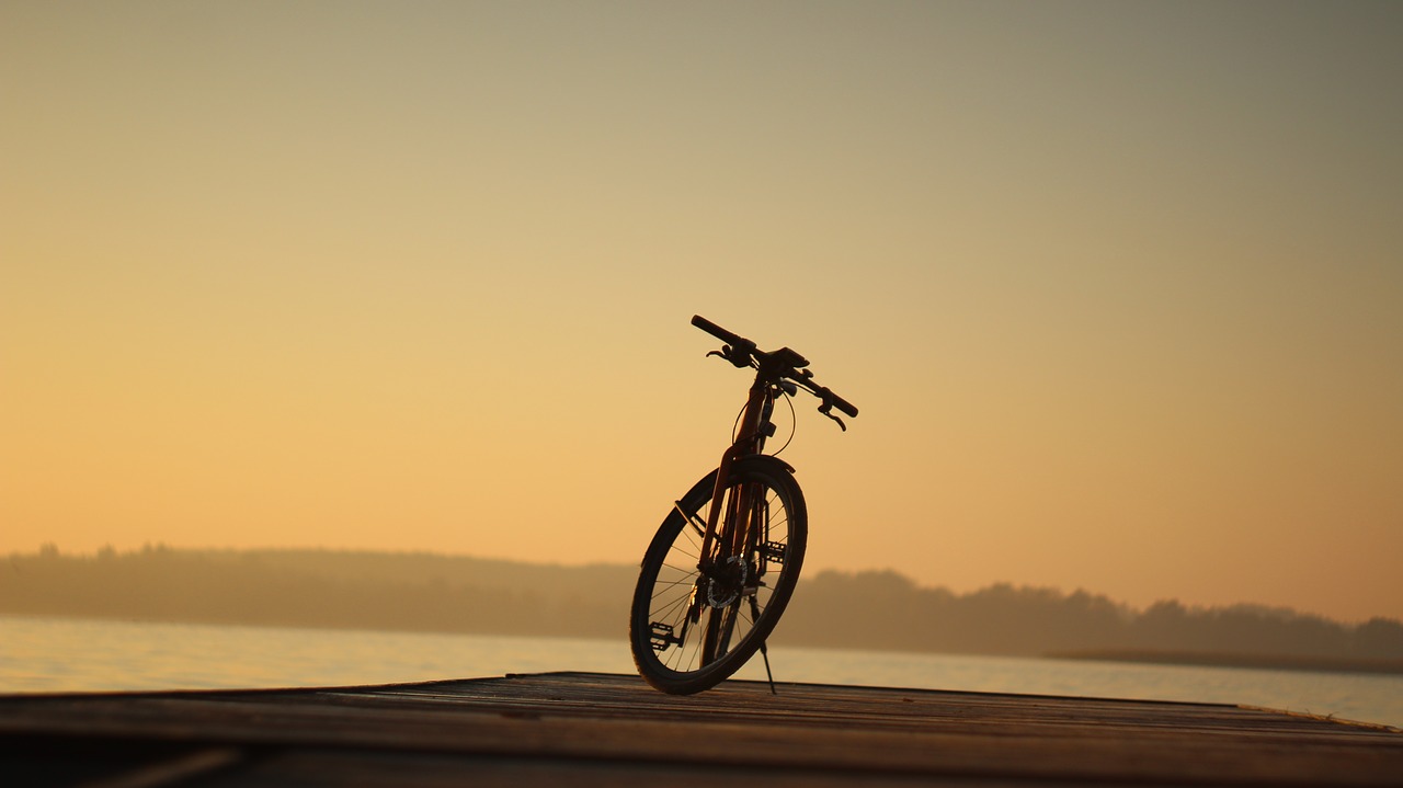 bike  lake  water free photo