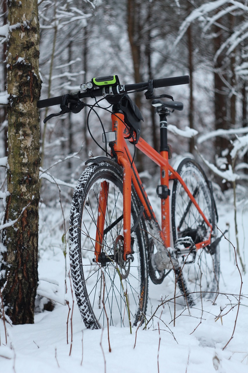 bike  winter  snow free photo