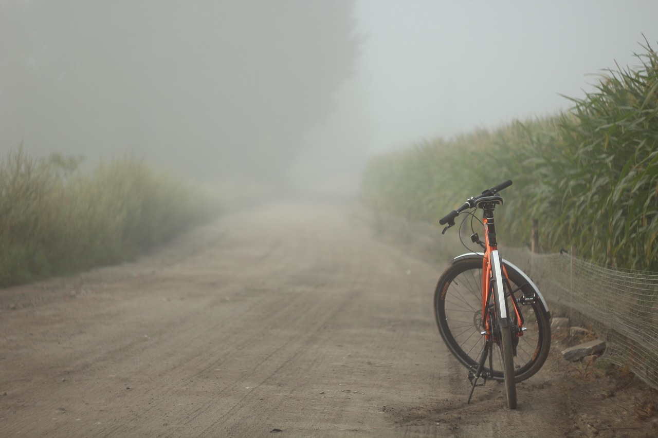 bike  field  fog free photo