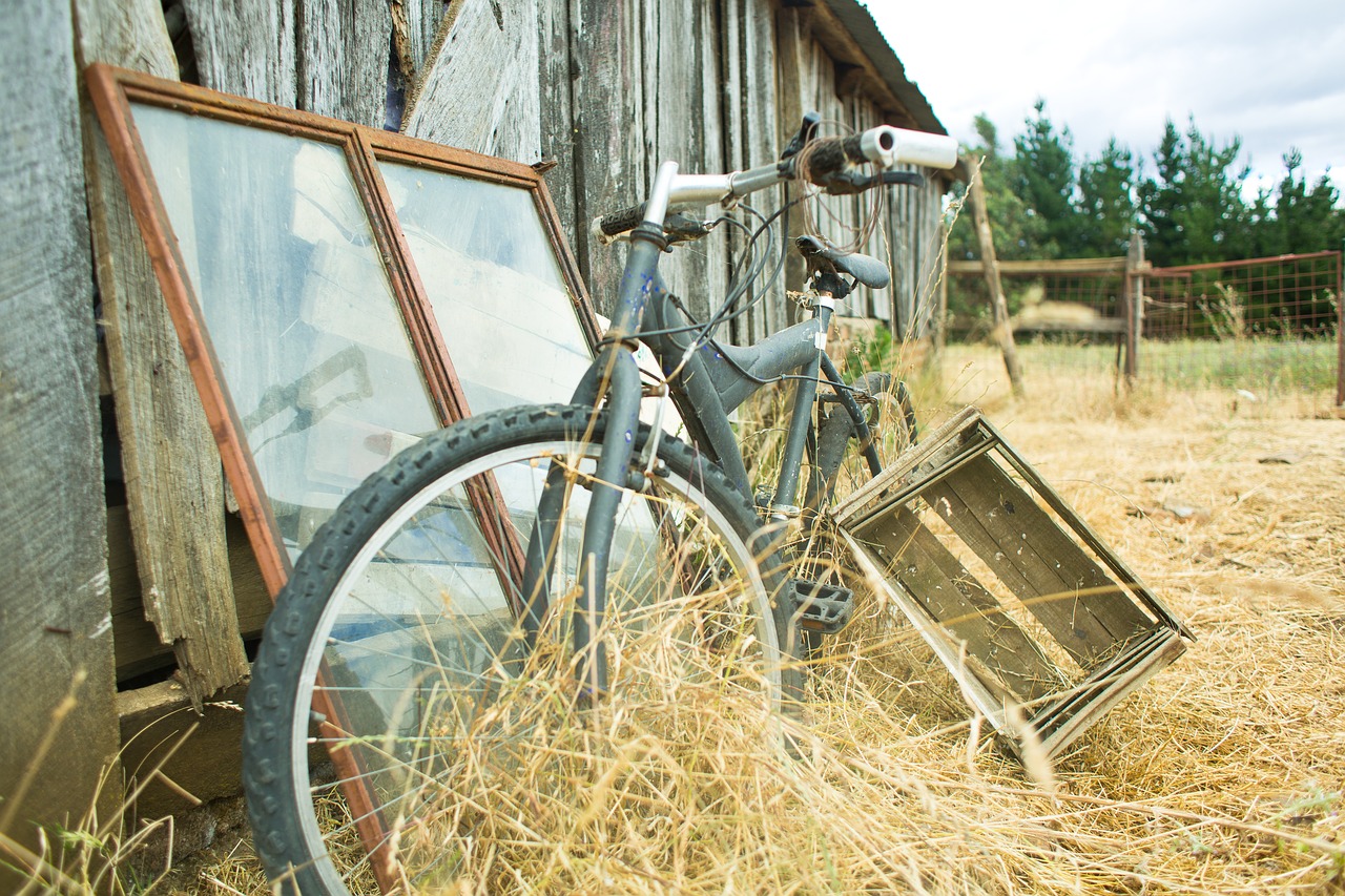 bike  bicycle  field free photo