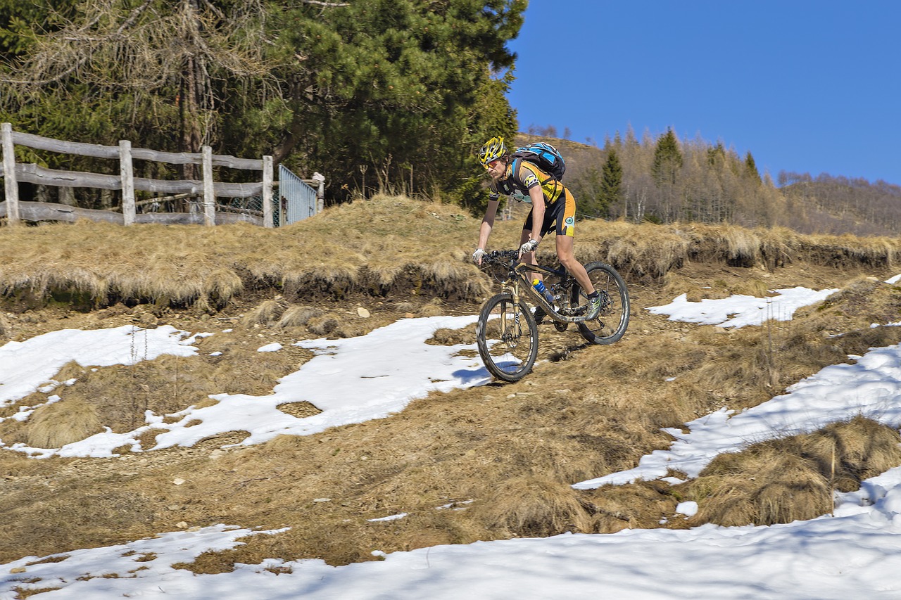 bike  bicycle  mountain free photo