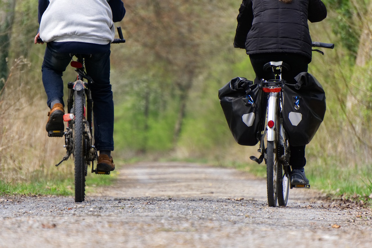 bike  wheel  drive free photo