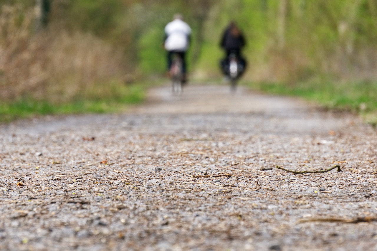 bike  wheel  drive free photo