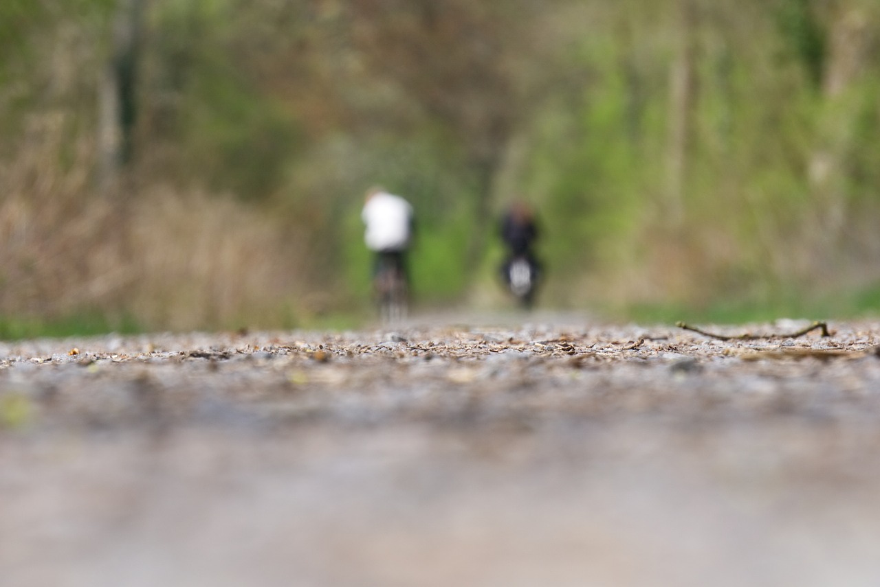 bike  wheel  drive free photo