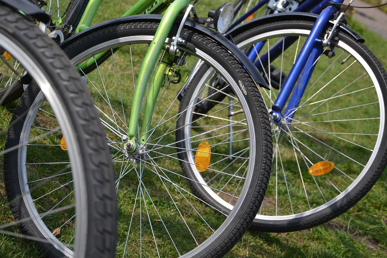 bike bicycles wheels free photo