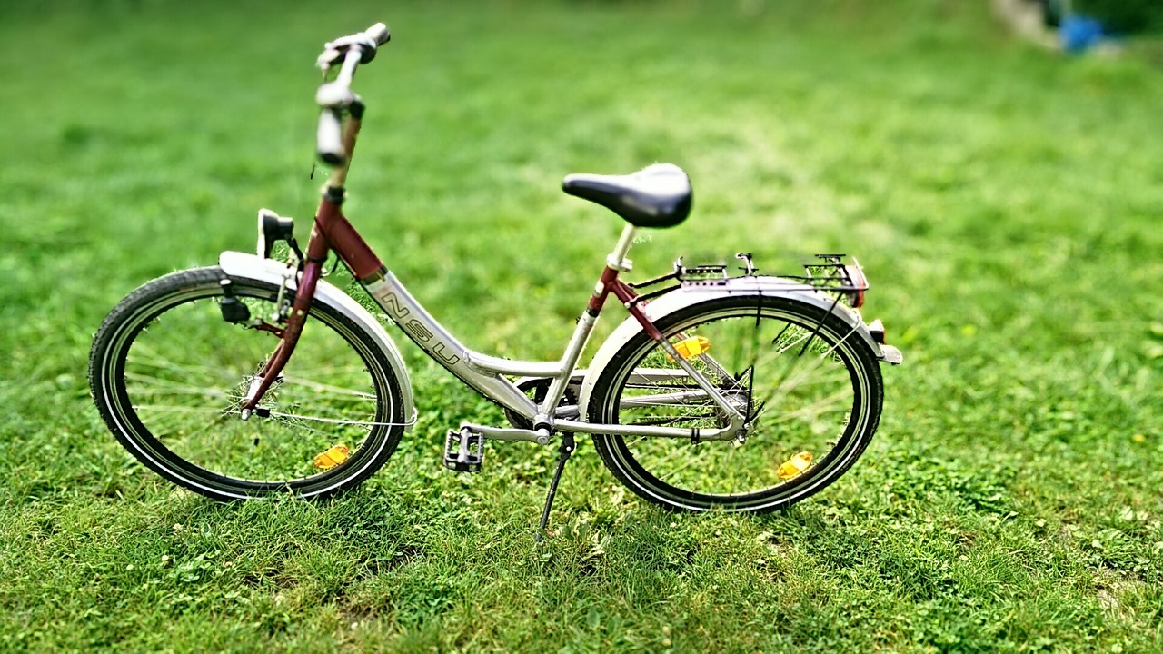 bike meadow sport free photo