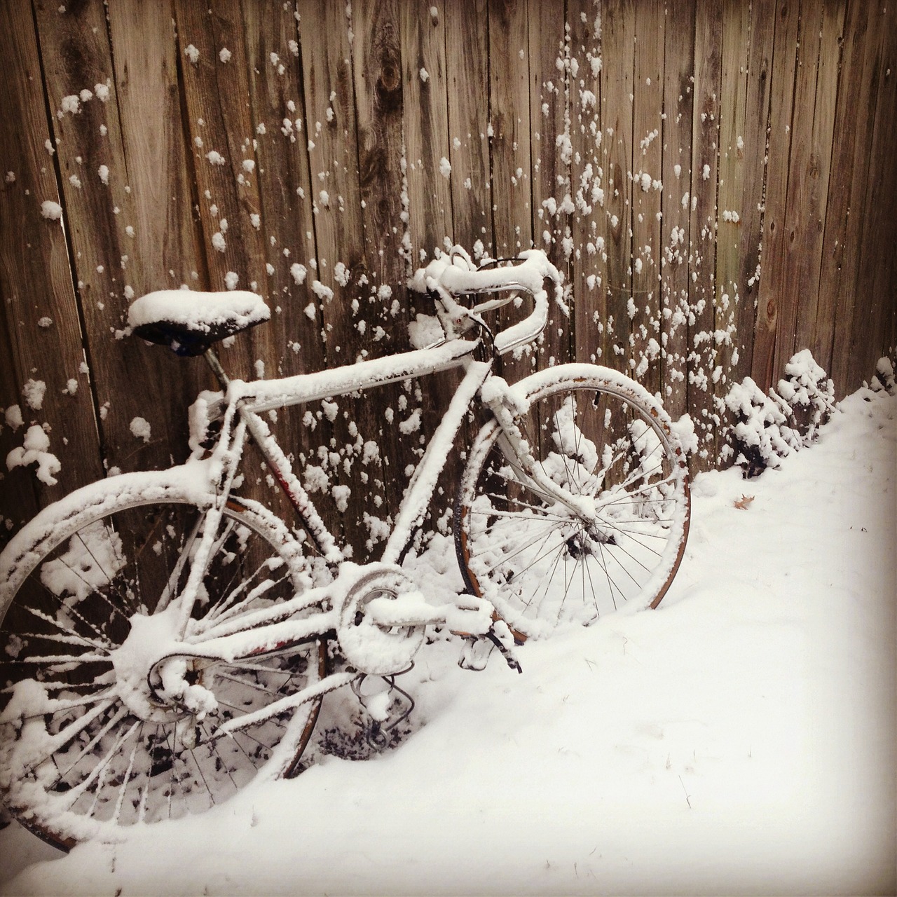 bike snow fence free photo