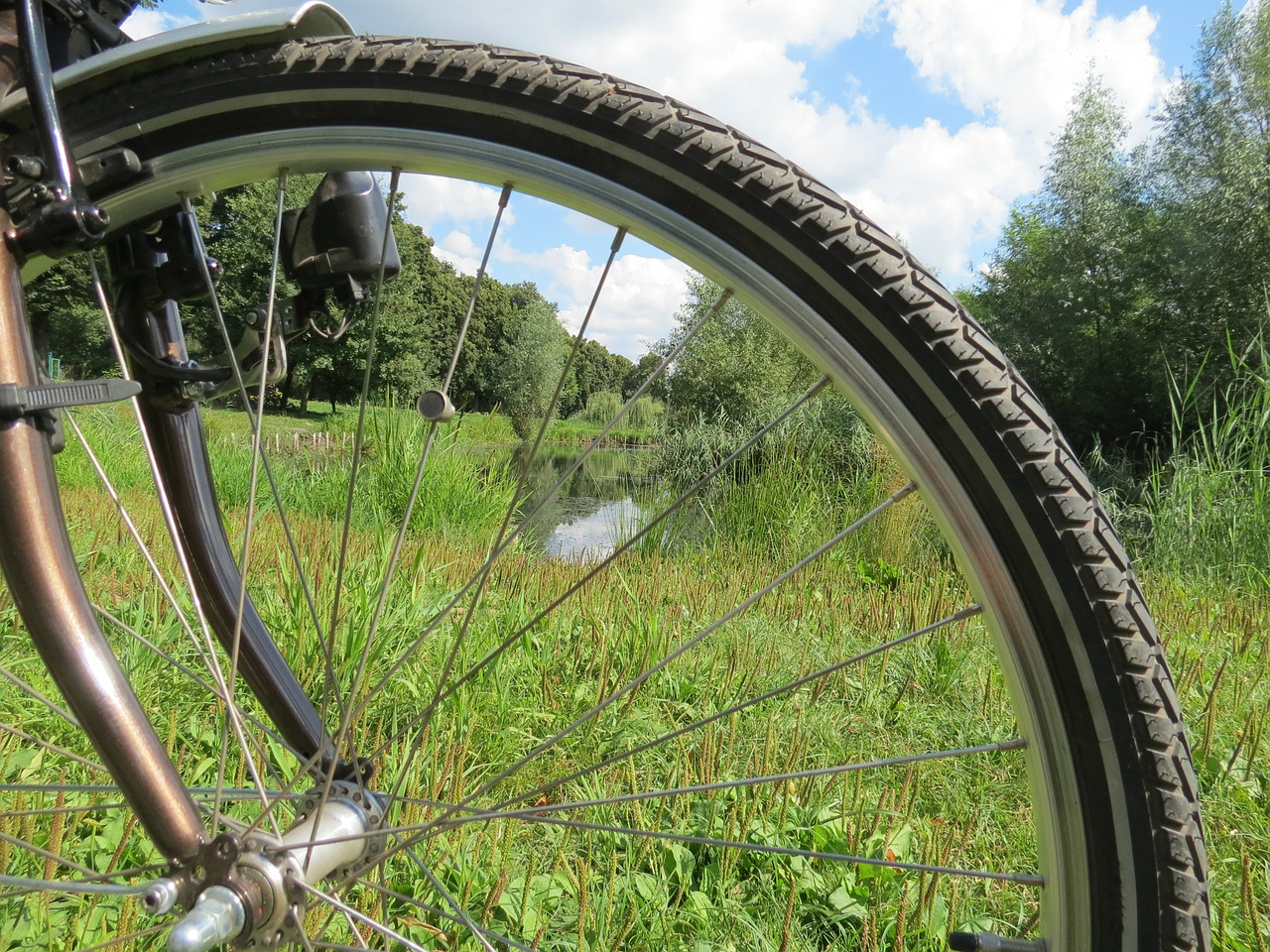 bike wheel spokes free photo