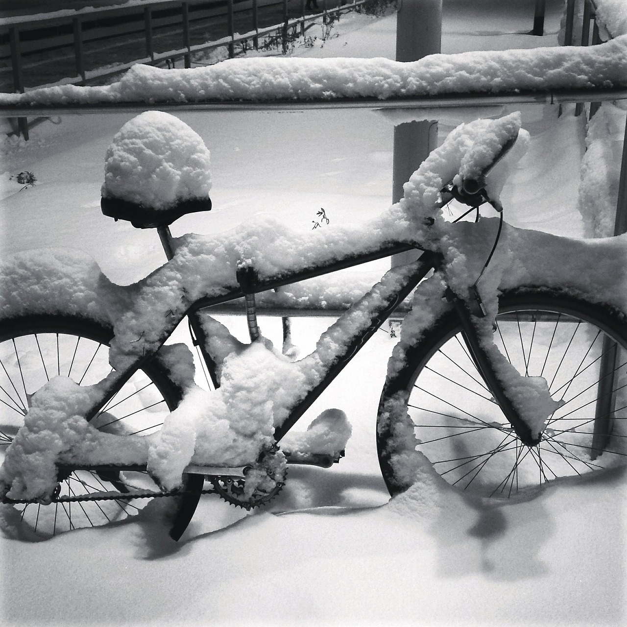 bike snow cold free photo