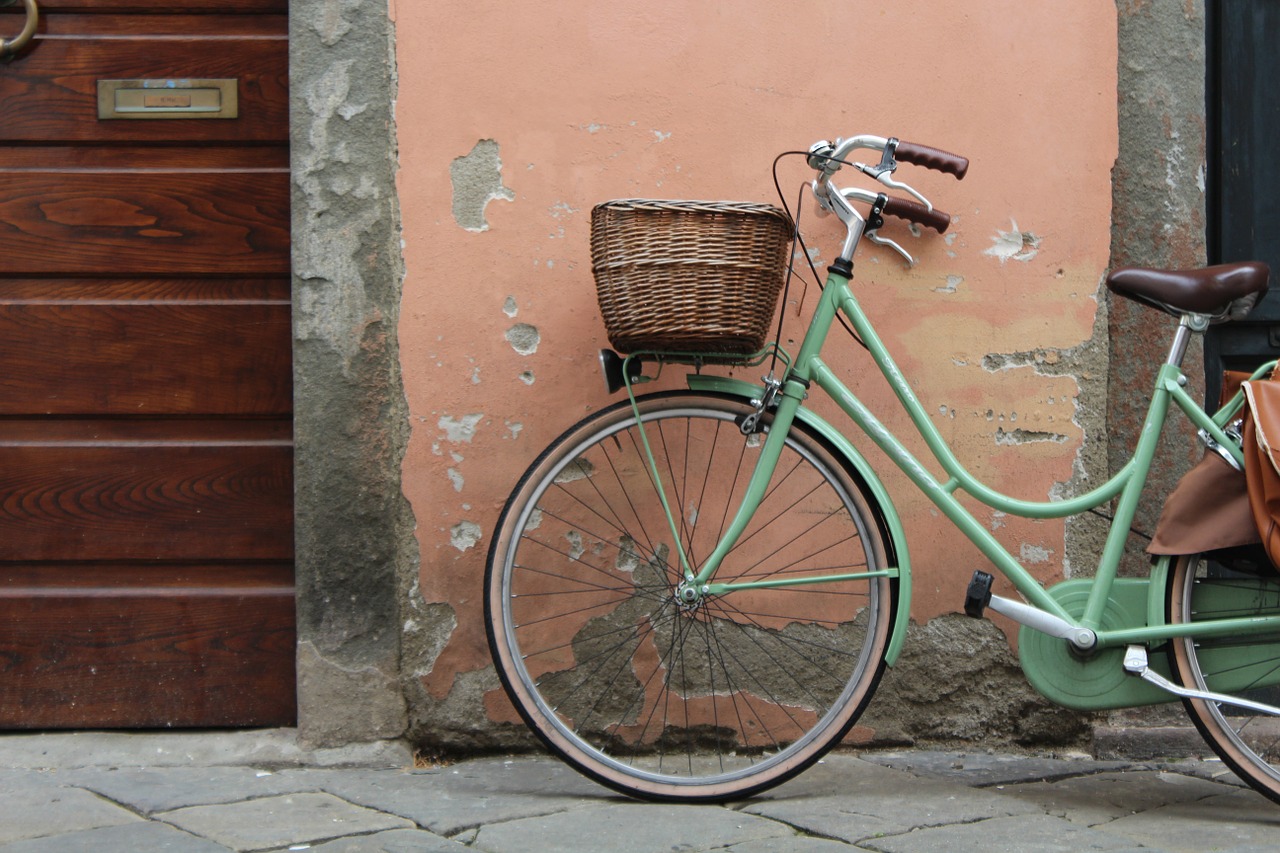 bike bicycle wheel free photo