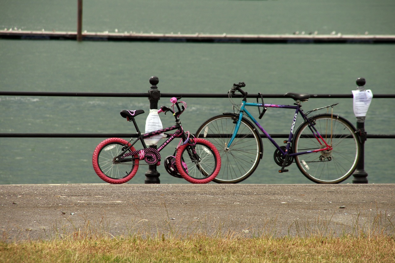 bike railings ocean free photo