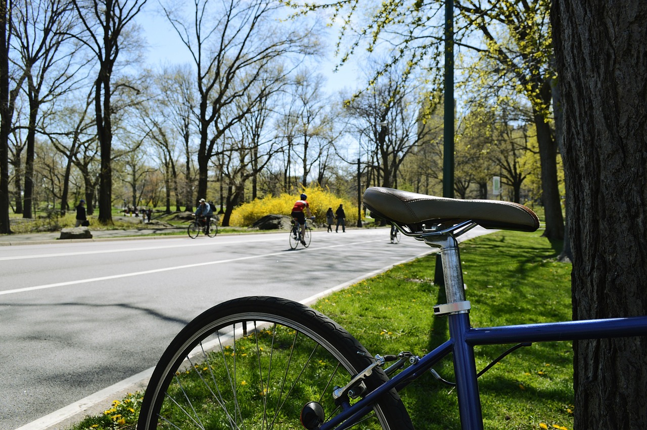 bike central park ride free photo